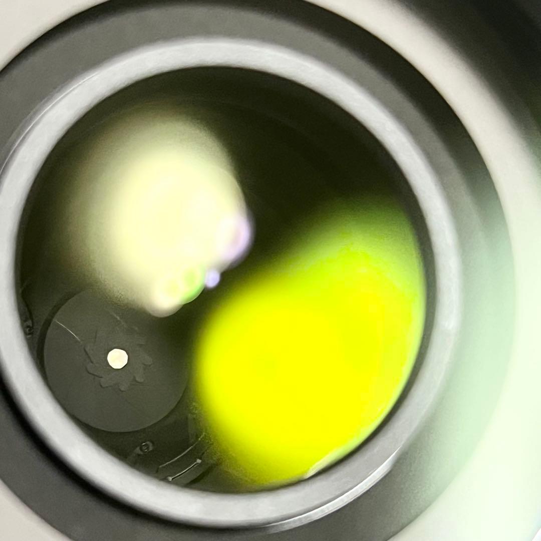 レンズ(ズーム) Nikon AF-S NIKKOR 55-300mm F4.5-5.6G ED