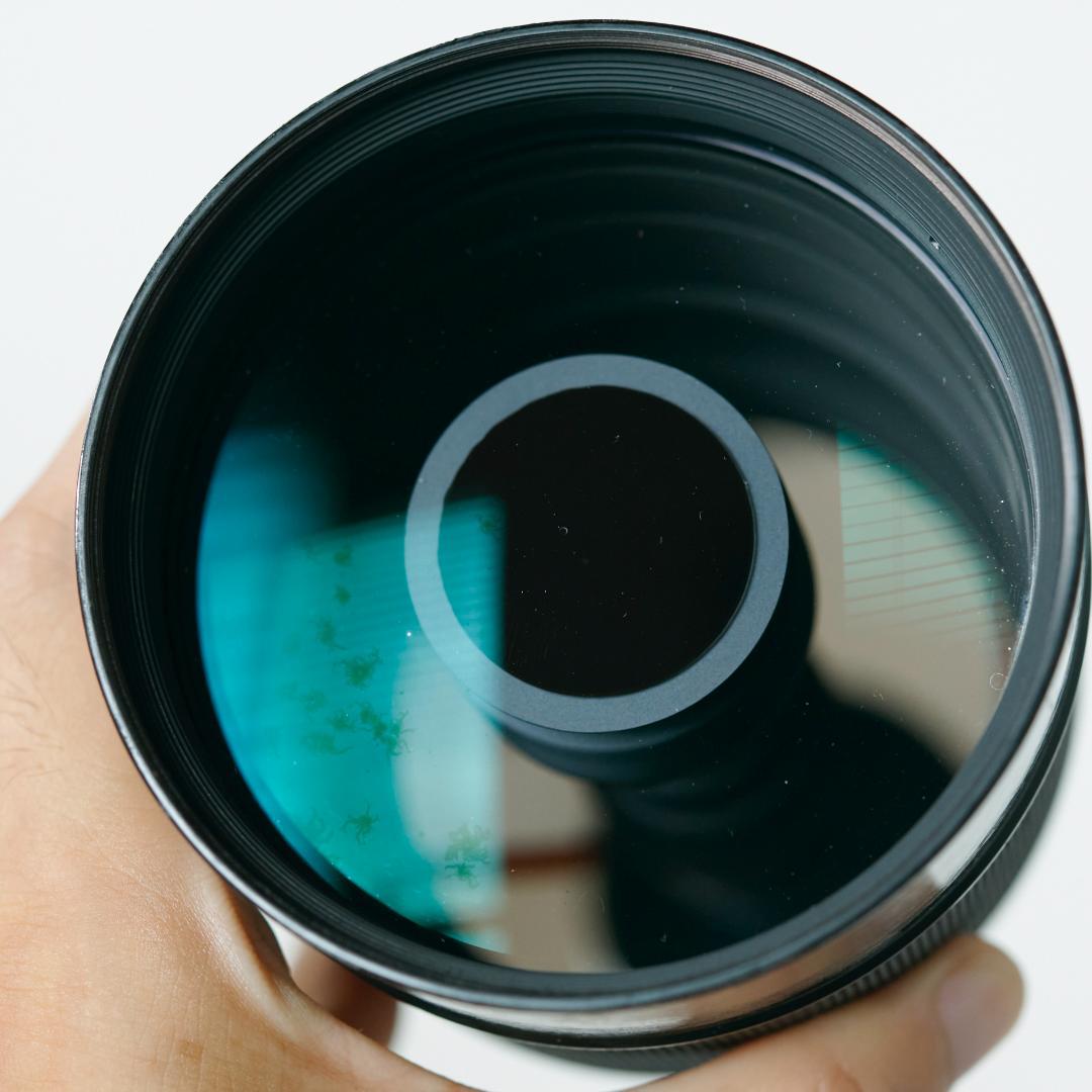 Reflex-NIKKOR-C 1:8 f= 500mm レンズ ニコン f８