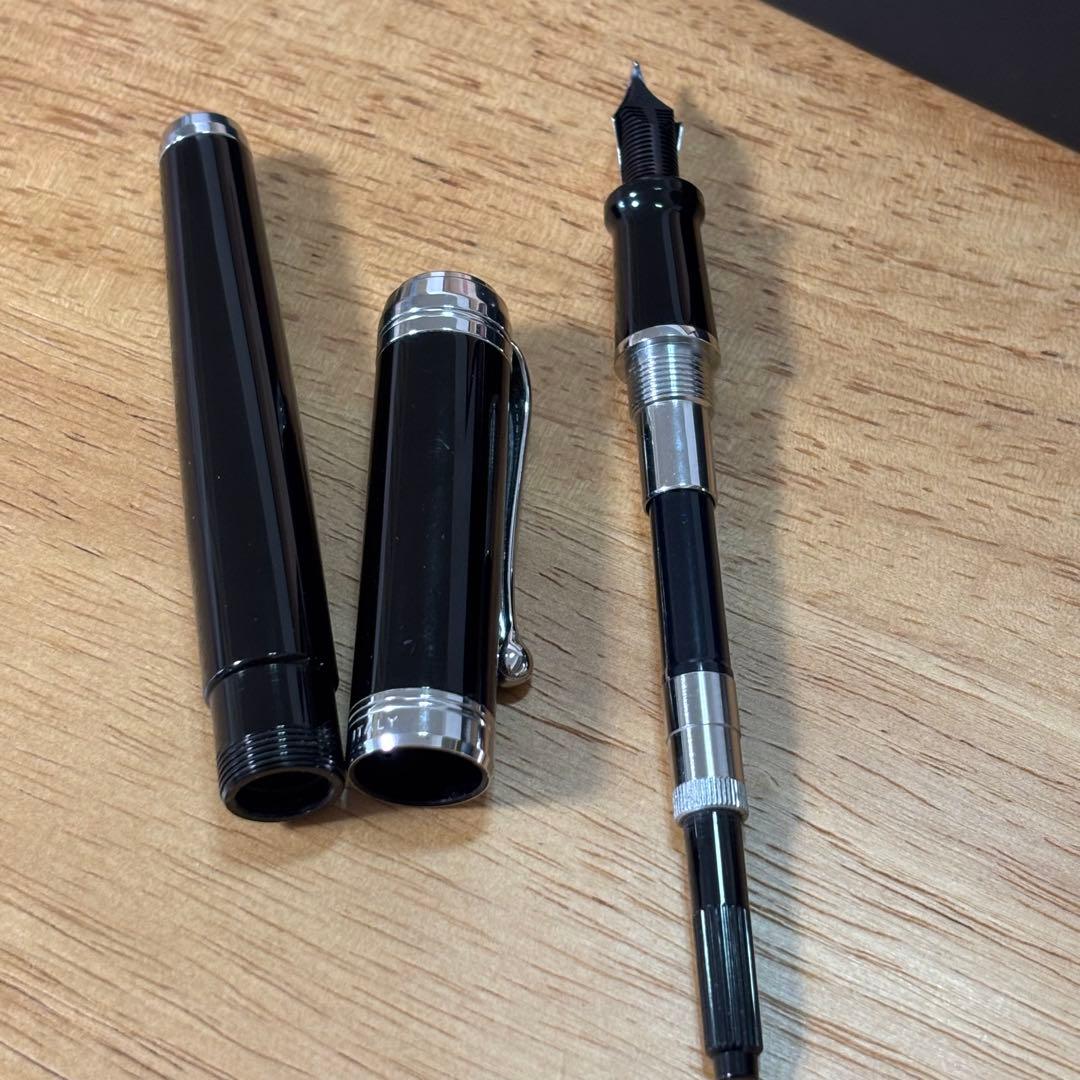 AURORA アウロラ　タレンタム　万年筆　ペン先14K 箱入