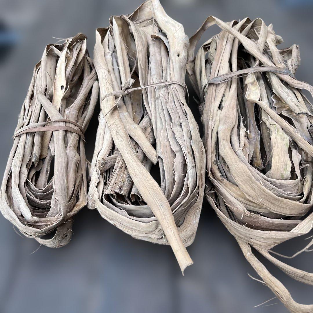 山葡萄の蔓　A級品　1300g 初物