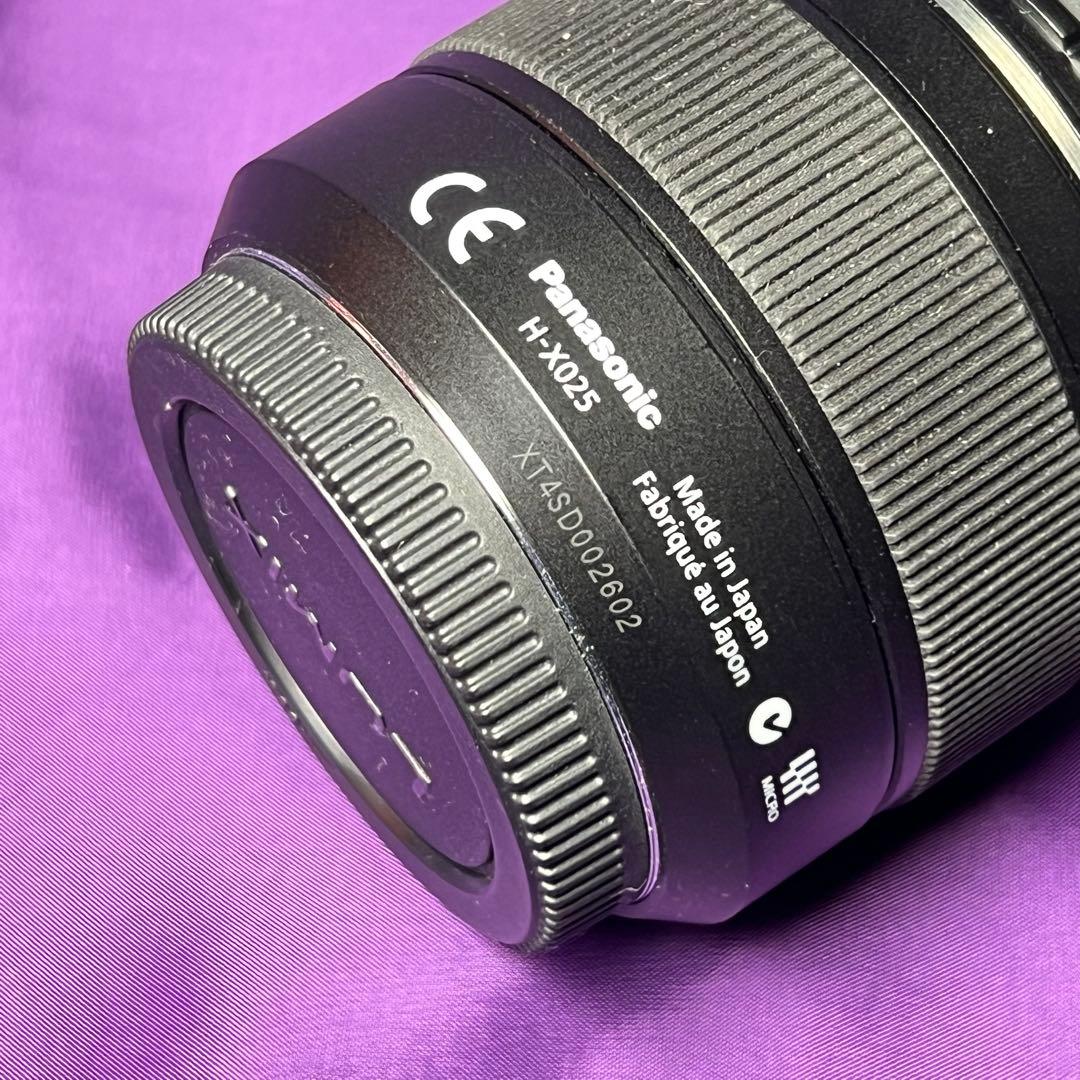 レンズ(単焦点) LEICA DG SUMMILUX 25mm/F1.4 ASPH. H-X025