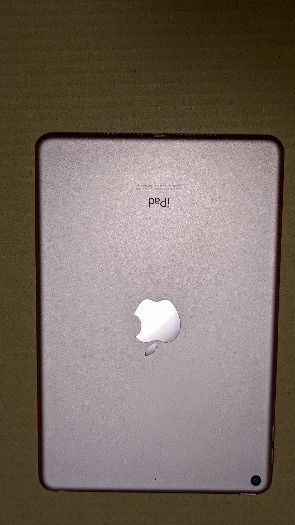 ジャンク品 Apple iPad mini 4 256GB ゴールド Wi-Fi