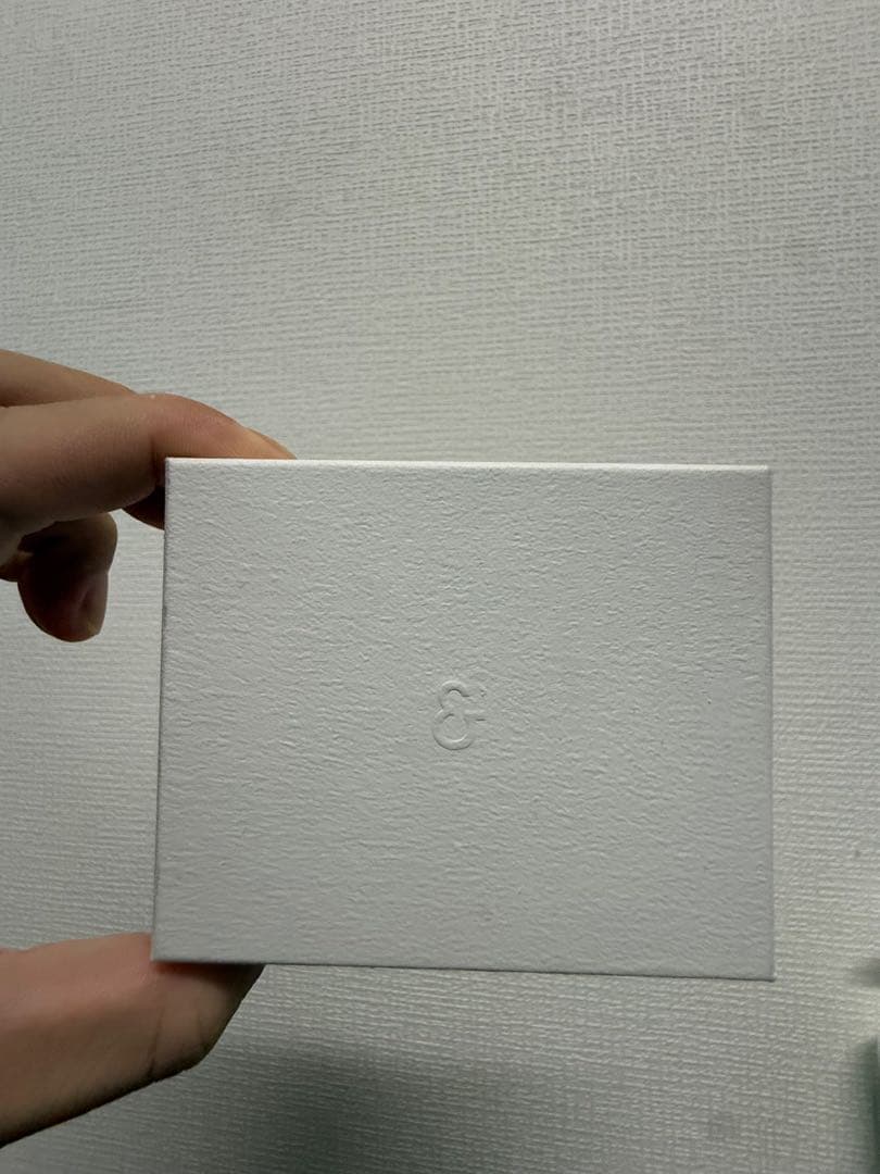 アクセサリー here's ouroboros signet pierce