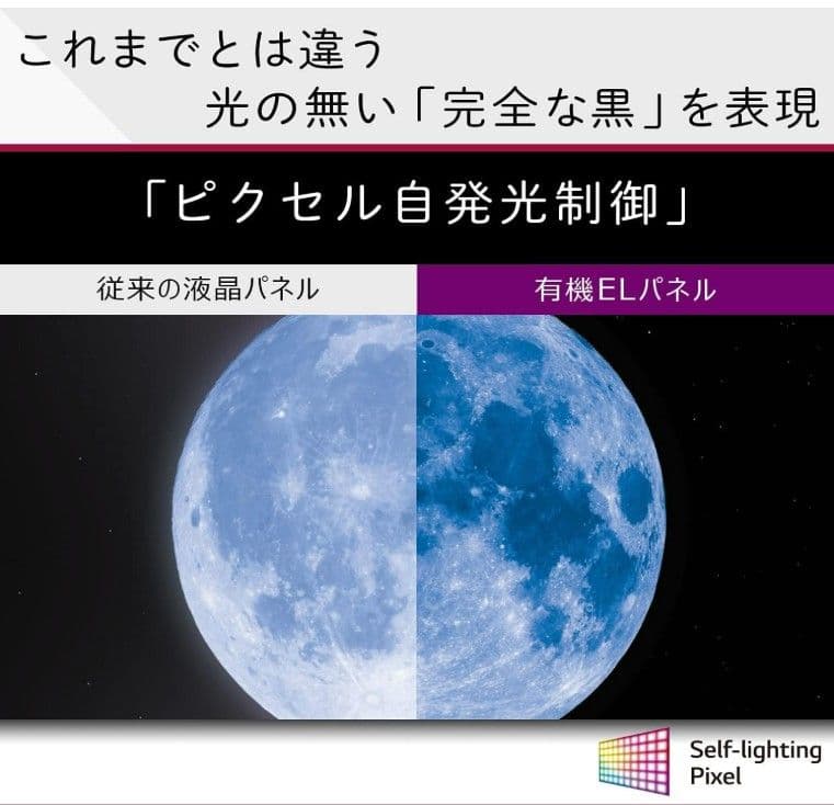 【直接】LG 55型 4K 有機EL テレビ OLED55B1PJA 2021