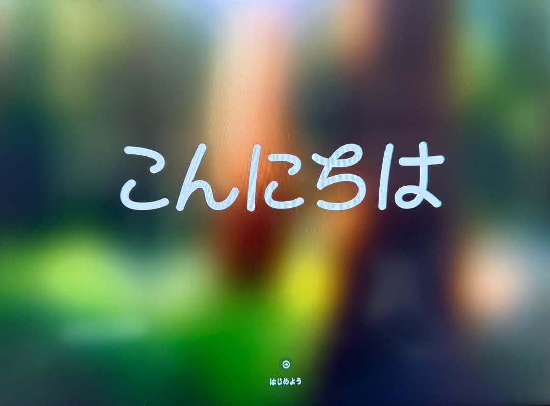 ほぼ新品 Apple Mac mini M4 Pro 本体 64GB 2TB