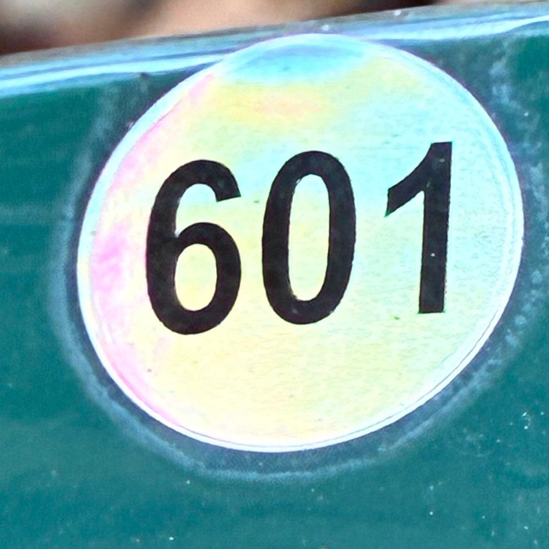 ヒ*ロ様 ☘️ラスト2☘️❤️根充実❤️しっかり新芽元気株❤️601【Ash】【