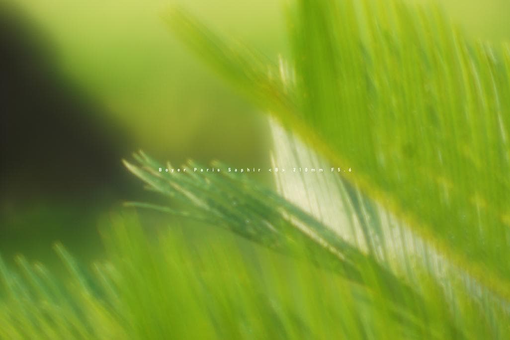 ★激レア M42改造 BOYER PARIS SAPHIR B 210／F5.6