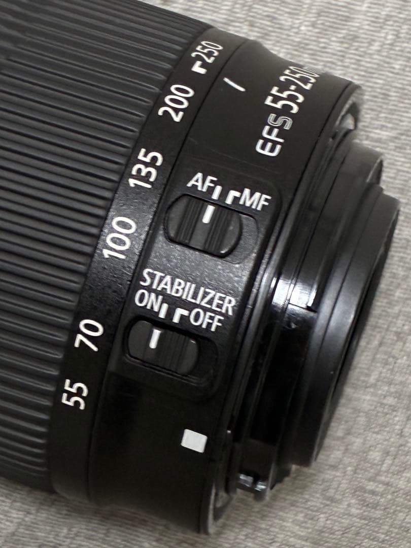 ⭐️極美品⭐️Canon EF-S 55-250mm STM レンズ フード付