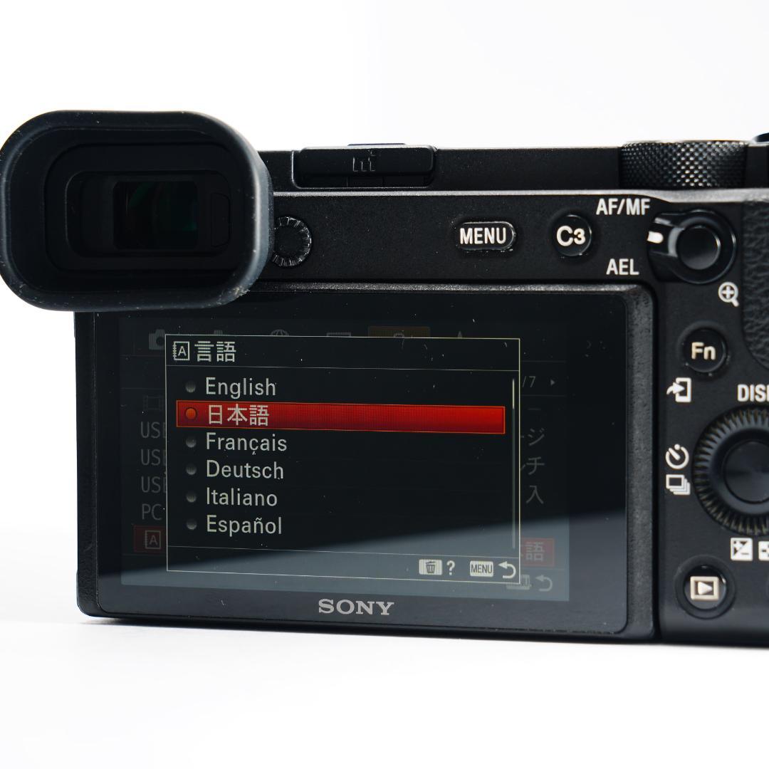 あきのもみじ SONY α6600 ミラーレス