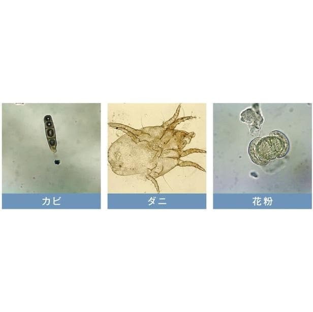 空気清浄機イオニックブリーズGRNDE ホワイトグレー　35