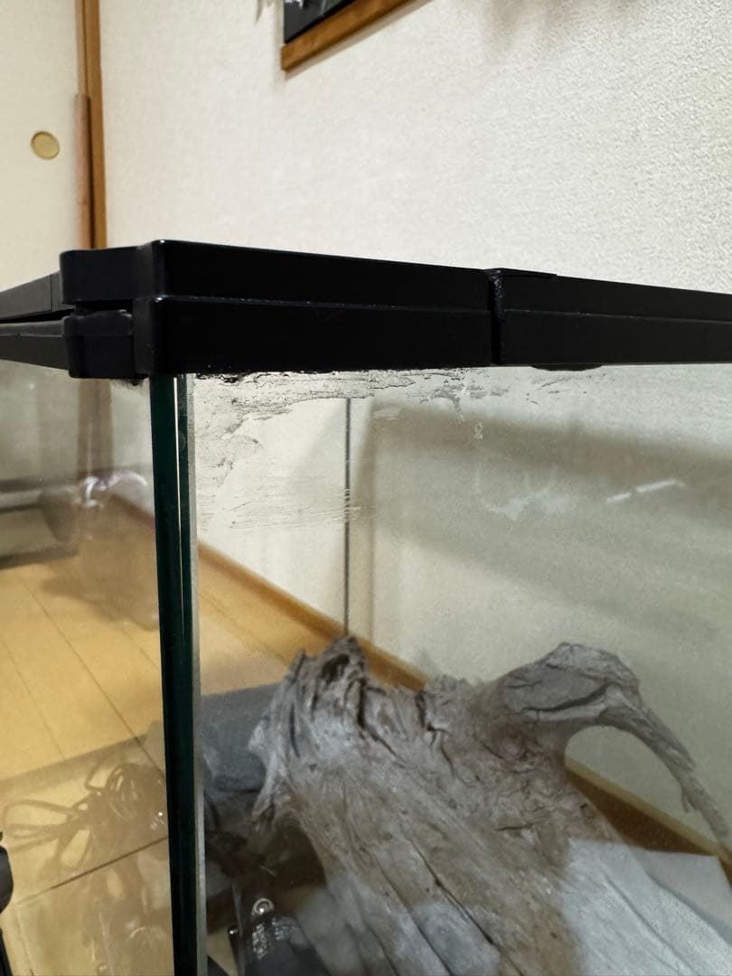 ケージ 爬虫類 トカゲ飼育セット 60 yoshimi