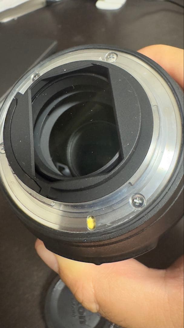 ニコン AF-P 70-300mm f/4.5-5.6E ED VR
