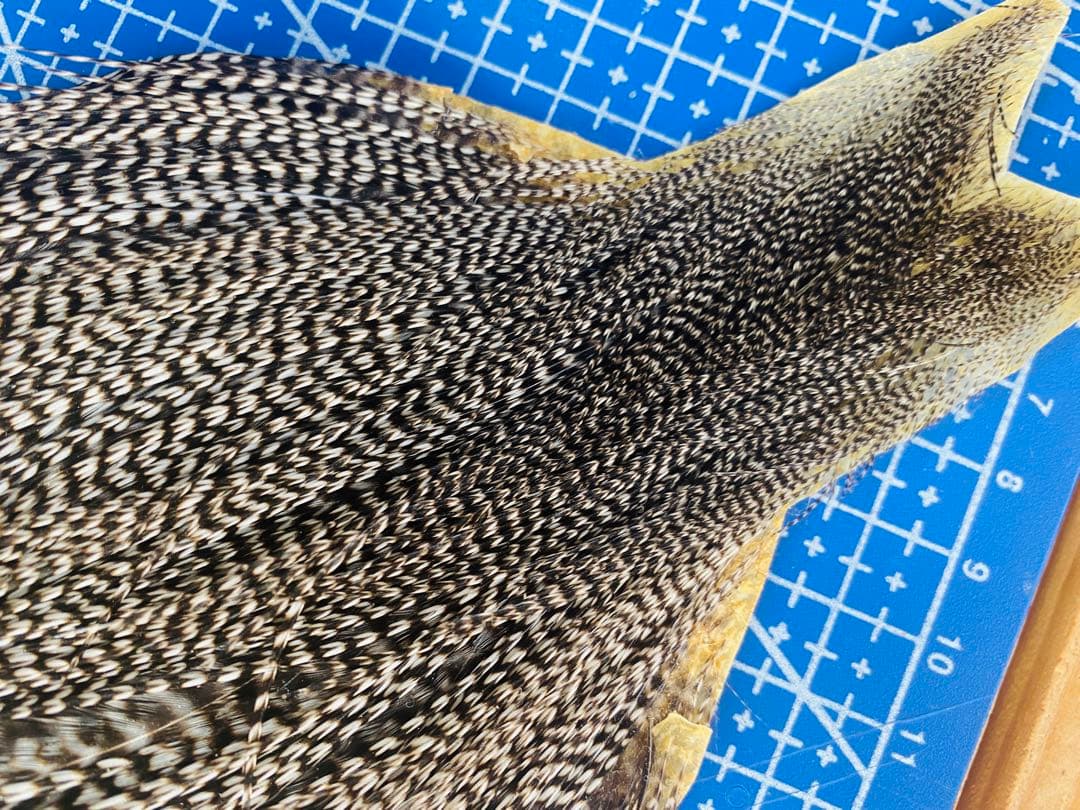 WHITING ハックル ホワイティング グリズリーフライフライマテリアル