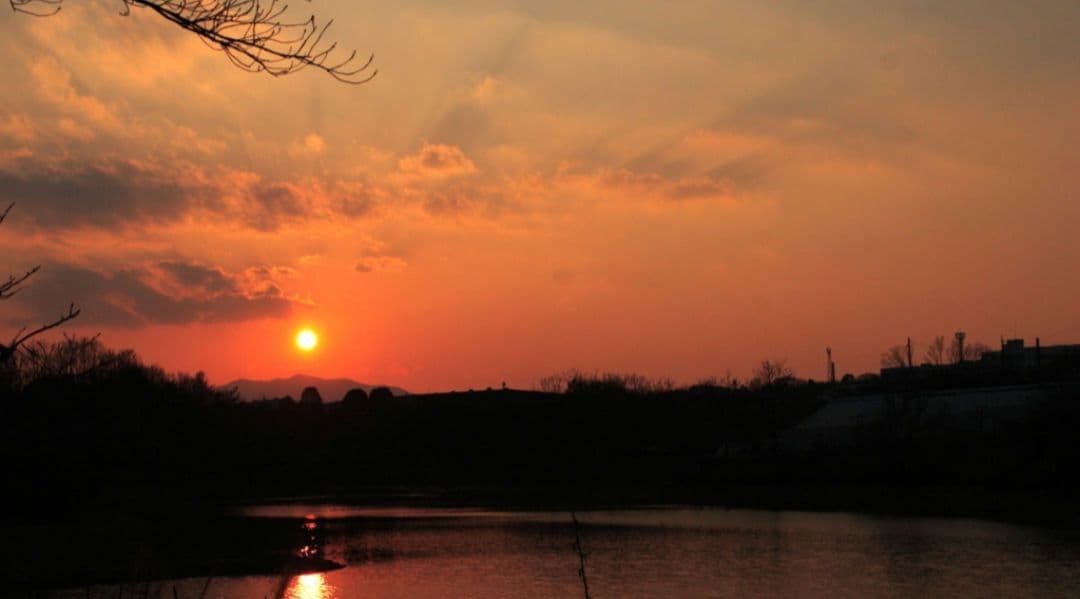 まる⋆͛☽.゜様　CANON　EOS 20D 一眼レフ⚡️キャノン⚡️初心者⚡️