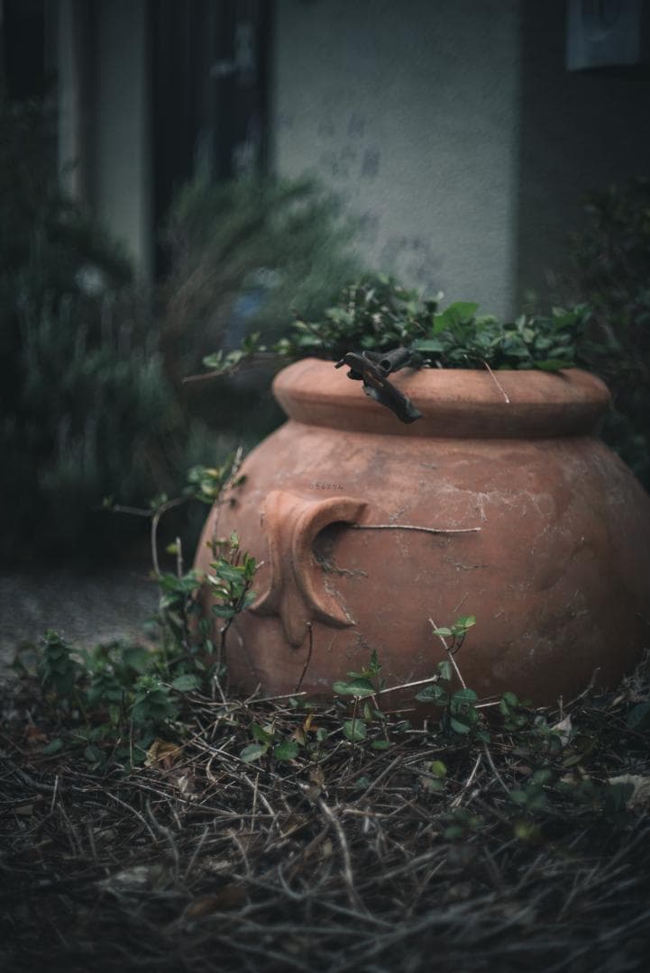 8枚玉！Super-Takumar 50mm f1.4 前期 オールドレンズ