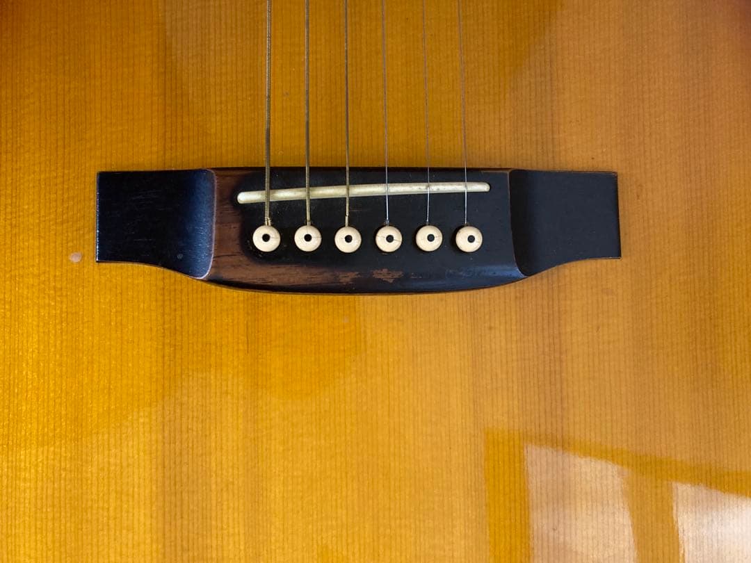 Maxwin エレアコ　ハードケース付