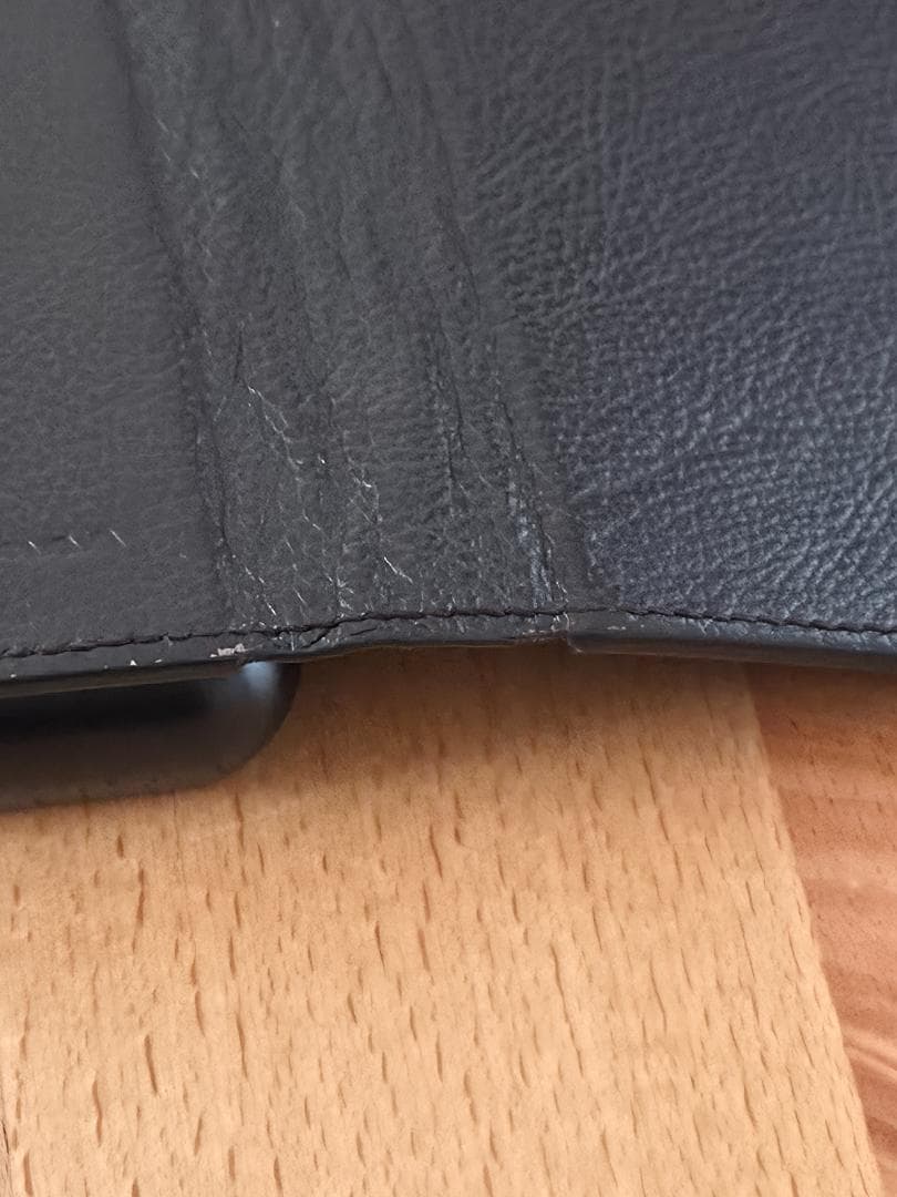 SONY ウォークマン NW-ZX507　専用レザーケース＋おまけ付き