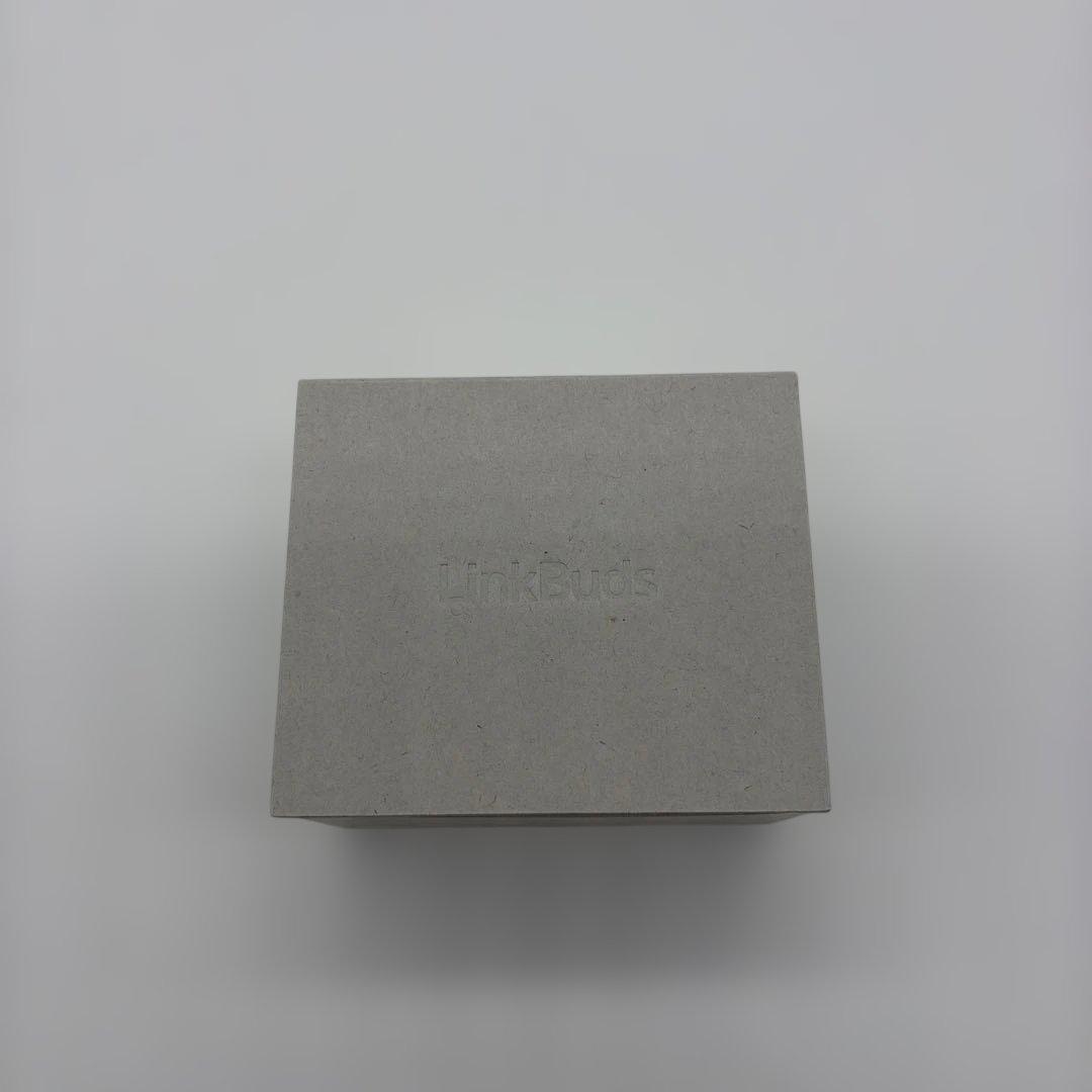 イヤホン SONY LinkBuds Clip WF-LC900/BZ