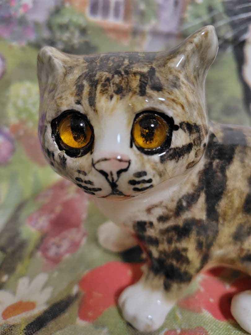 ウィンスタンレイ　ケンジントンキャット