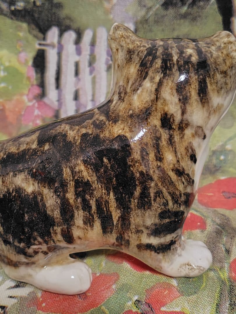 ウィンスタンレイ　ケンジントンキャット