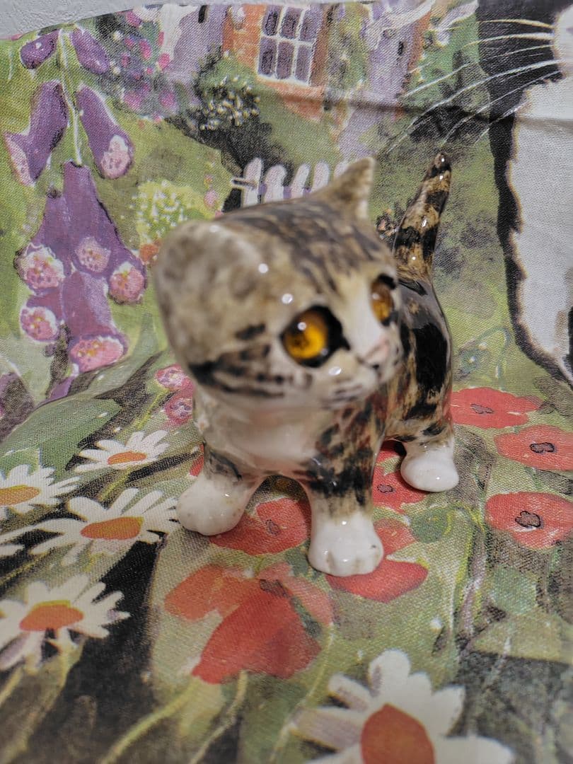 ウィンスタンレイ　ケンジントンキャット