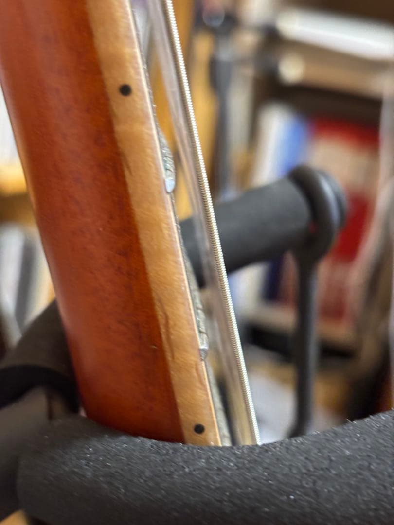 【ほぼ新品】Ortega RTPDLX-FMA TOURPLAYER エレガット