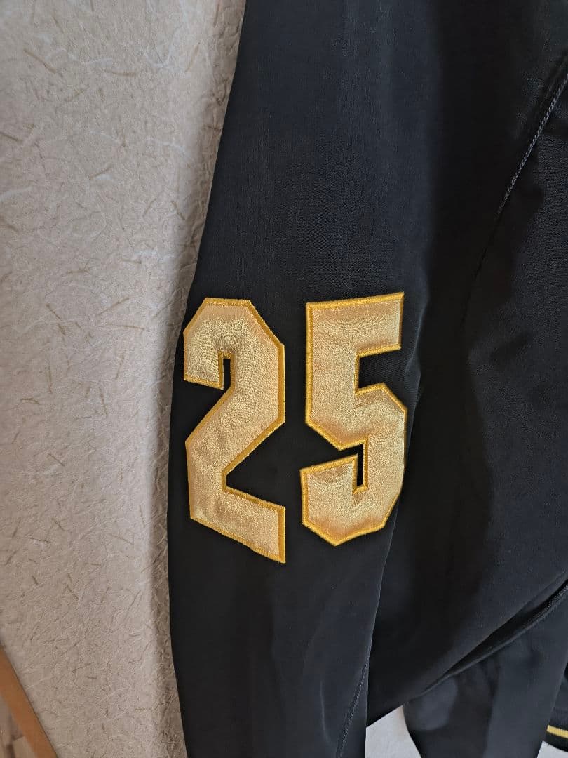 阪神タイガース　実使用　支給　練習　グランドコート　ジャケット　キャンプ　前川