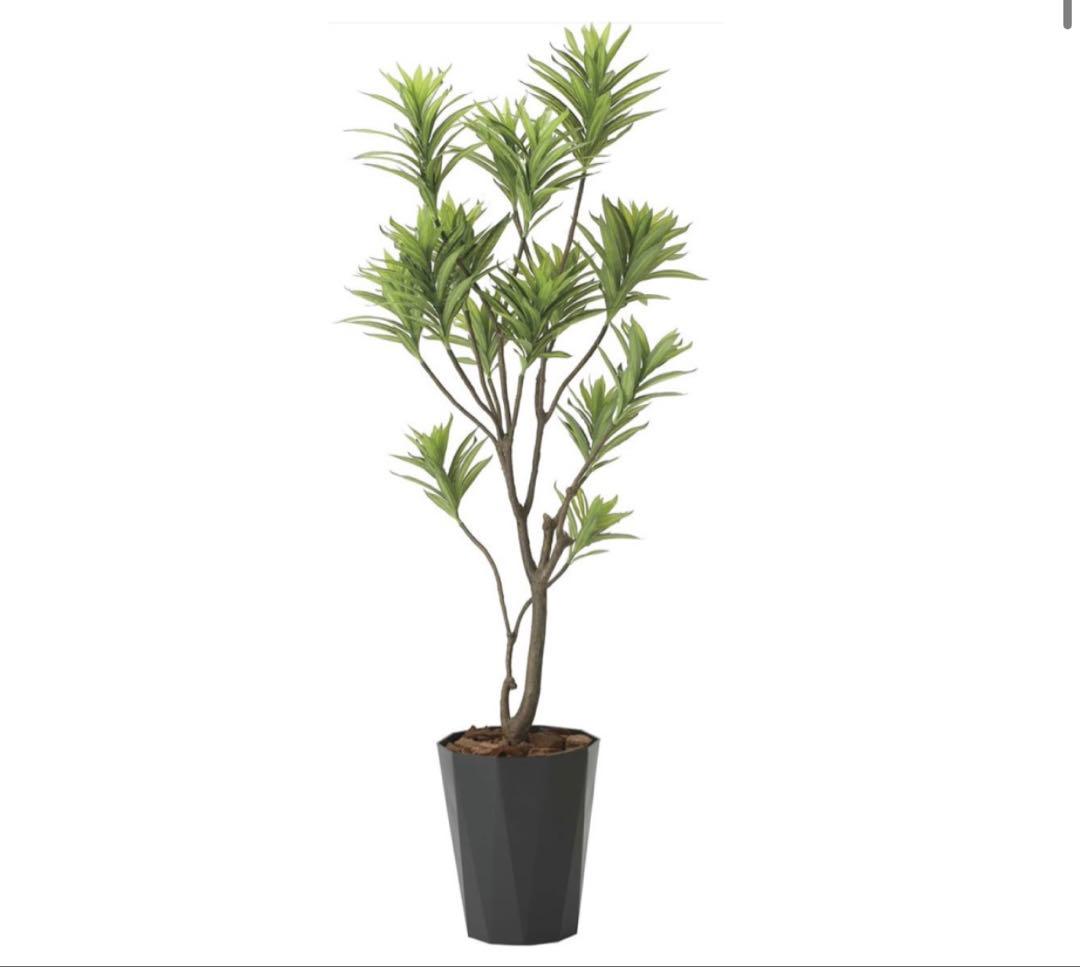 光触媒　人工観葉植物　ウォールグリーン　フレッシュドラセナ1.8
