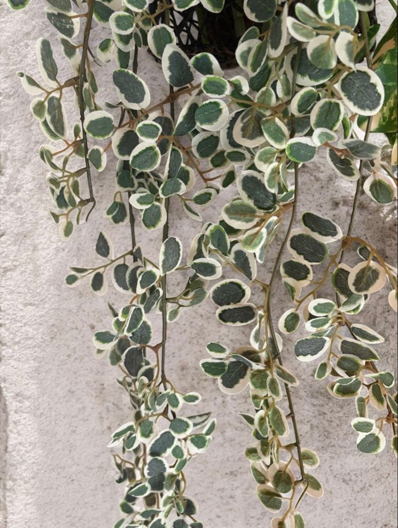 光触媒　人工観葉植物　ウォールグリーン　フェイクグリーン　壁掛けプミラＷ110