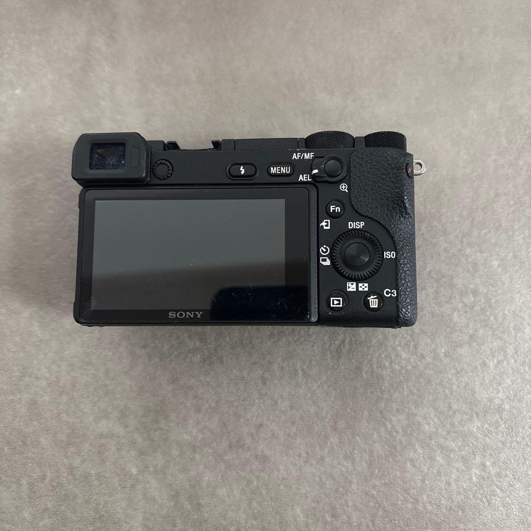 a6500 ボディ