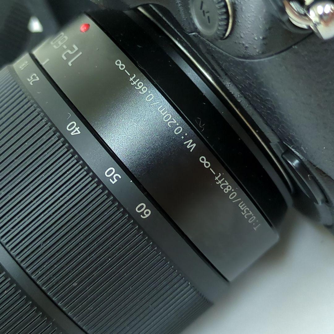 パナソニック ミラーレス一眼カメラ ルミックス GH5M2 レンズキット 高倍率