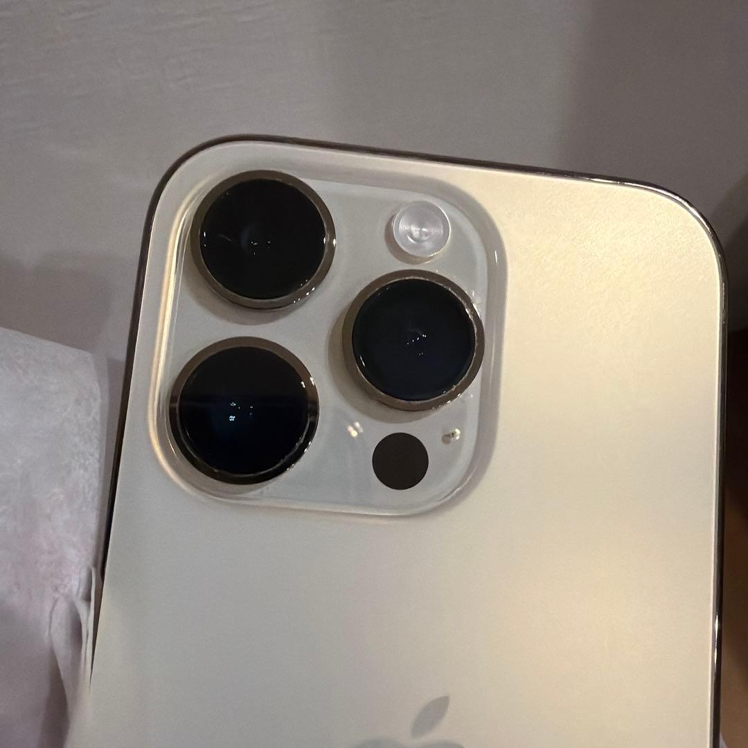 Boyboy　 Apple iPhone14Pro