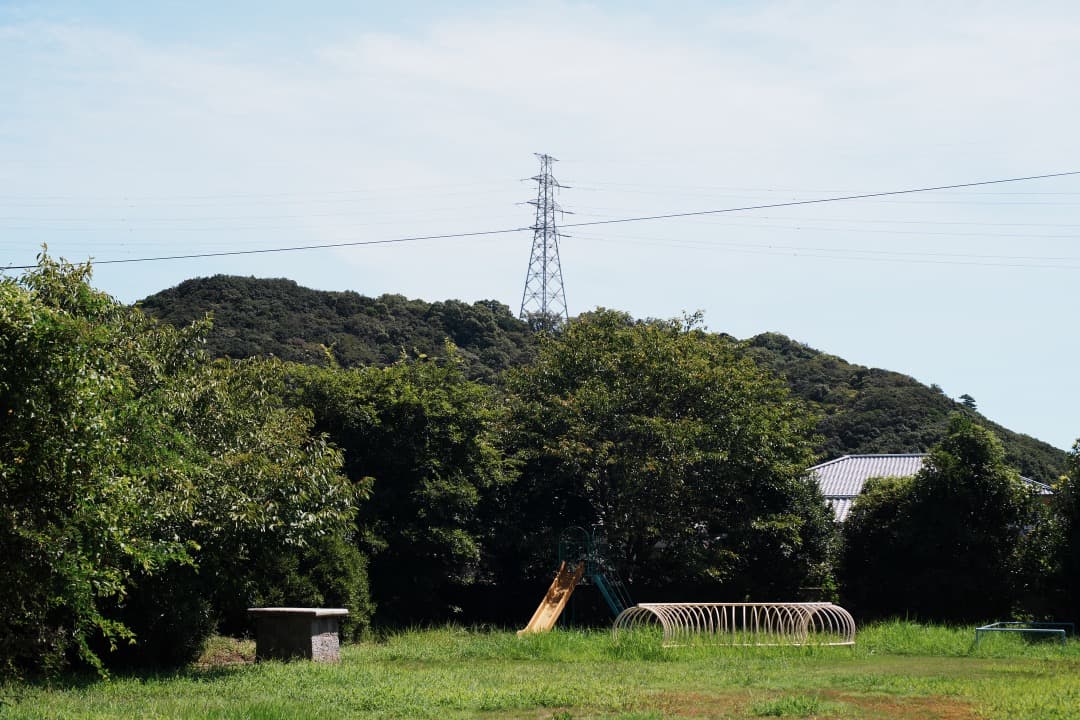 整&テ済 Carl Zeiss Planar 50mm F1.4 MMJ 817