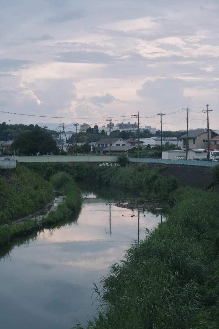 そこつや様貴重な黒モデル！Leica Elmar 90mm F4 Black