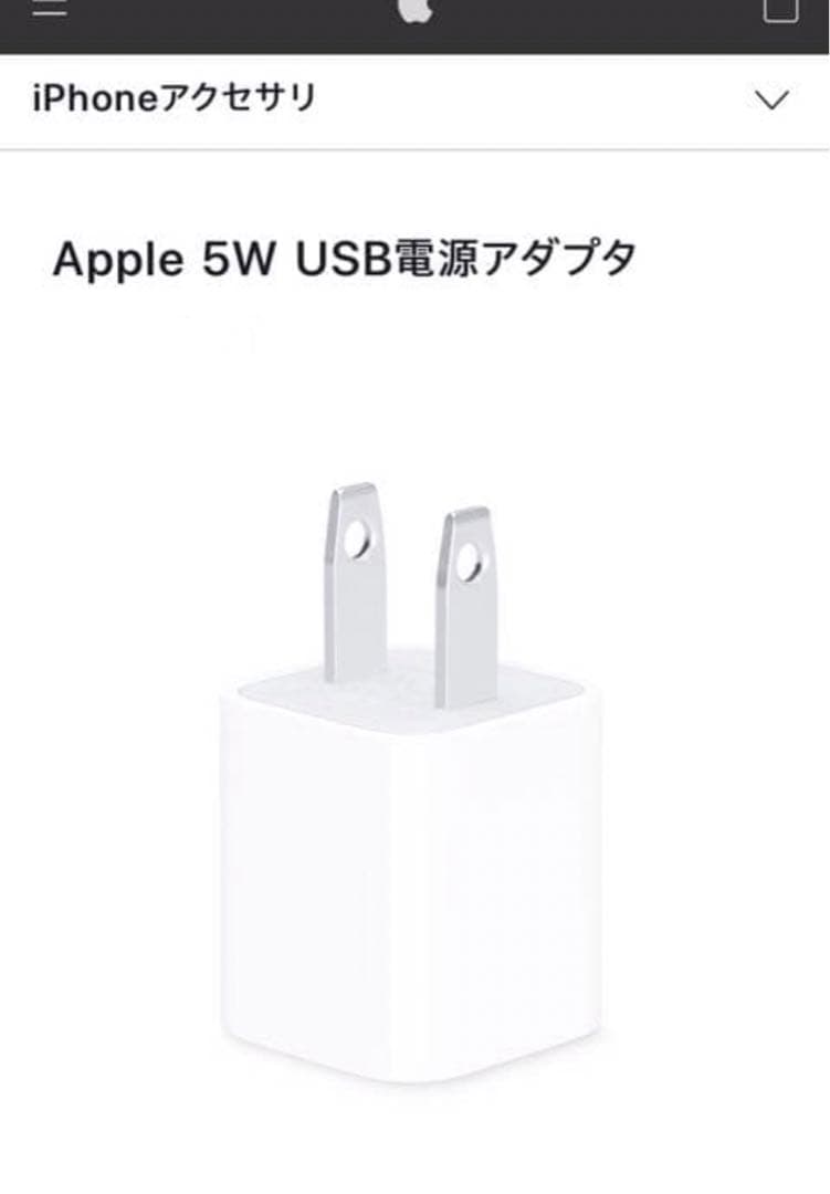 Apple製AirPods Pro 第1世代 動作確認済｜傷ありA