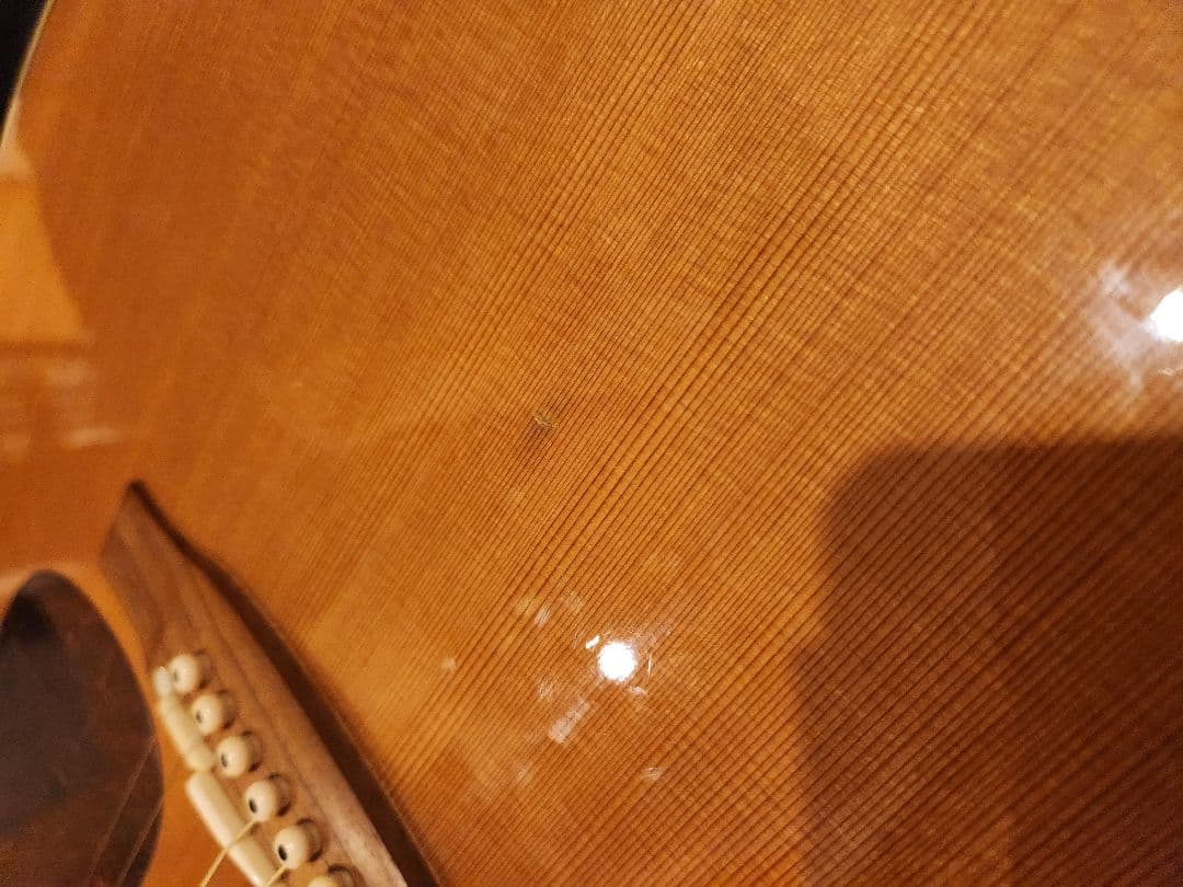 ギター Takamine PTU731KC N