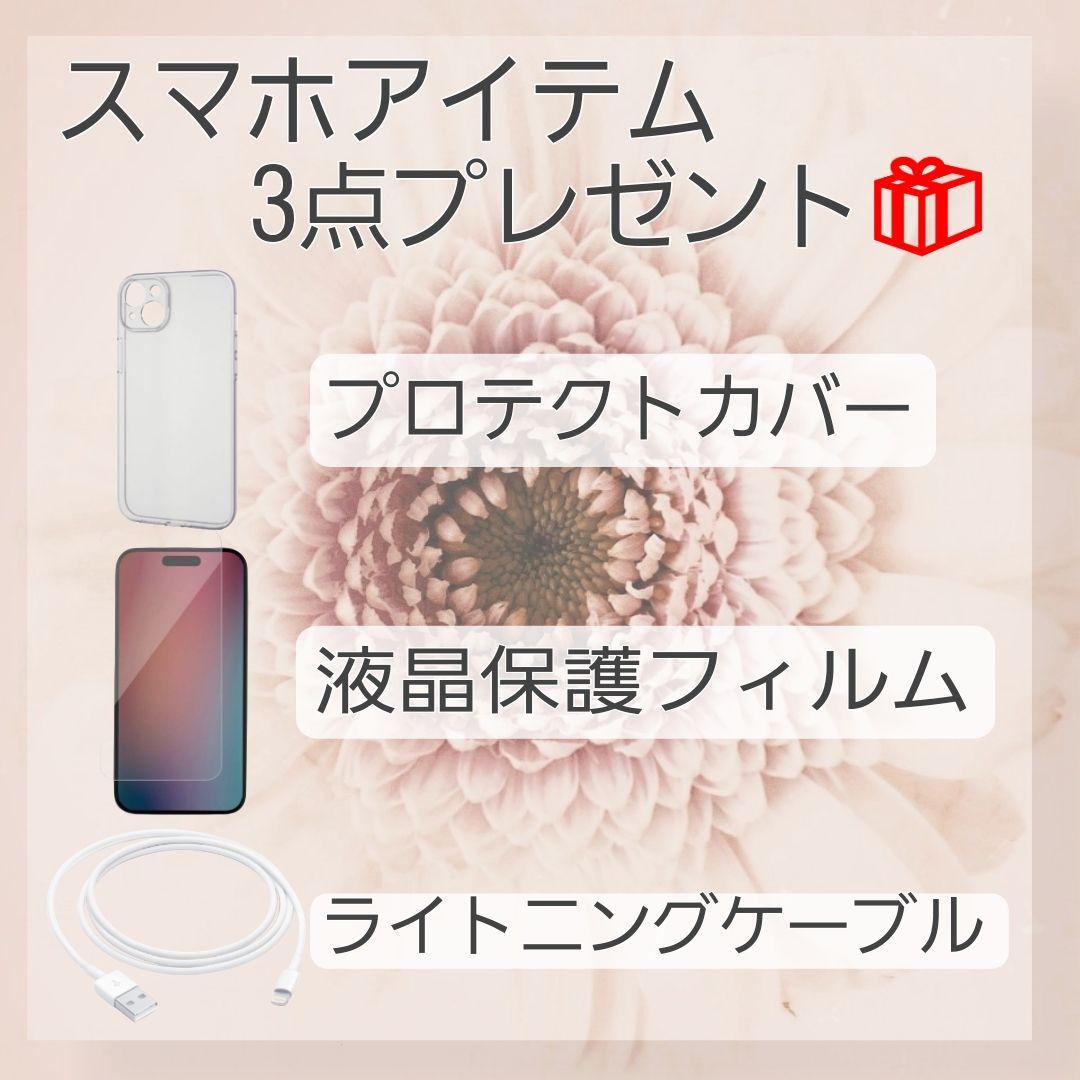 iPhone SE2 256GB SIMフリー バッテリー新品 100%