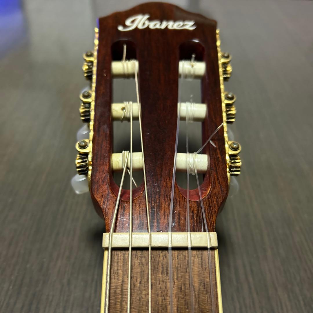 ハードケース付 Ibanez アイバニーズ AEG10NII-TNG エレガット