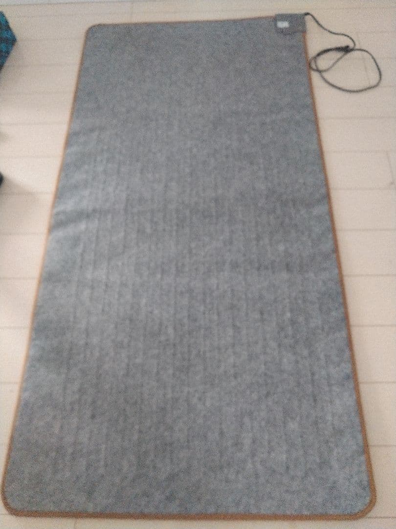 IRIS OHYAMA ホットカーペット 176x88cm