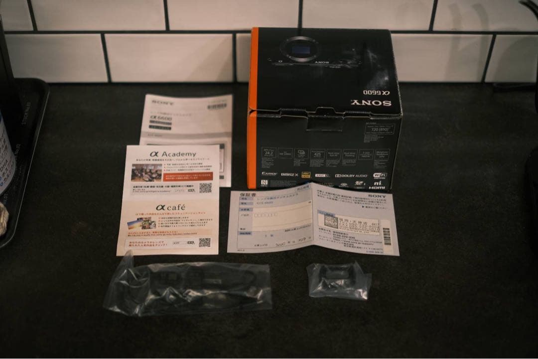 SONY α6600 ミラーレス一眼 本体と付属品