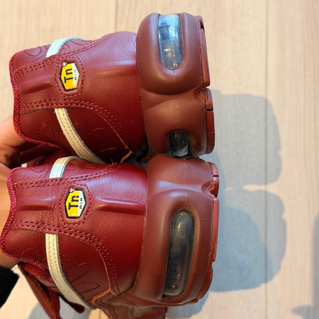 Nike air max plus tiempo ティエンポ