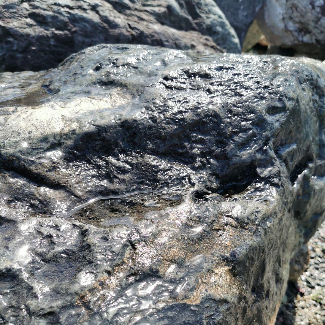 佐治石　350キロ　庭石　石　鑑賞石　庭　坪庭　置物　オブジェ　インテリア