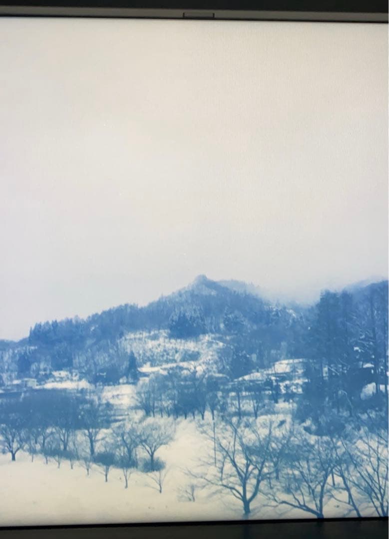 Rolleicord vb ローライコード xenar f3.5 75mm