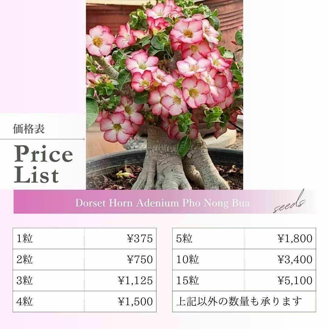 【すいっとぽてっと（12/29〜おやすみ）】