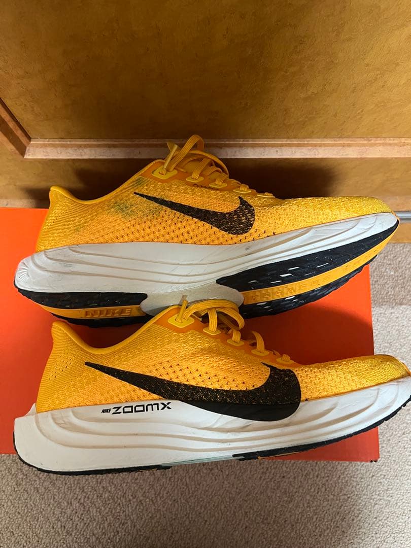 『翌日発送』NIKE ペガサスプラス 26