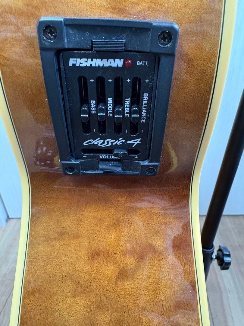 Bugs Gear ９弦エレアコギター　中古品