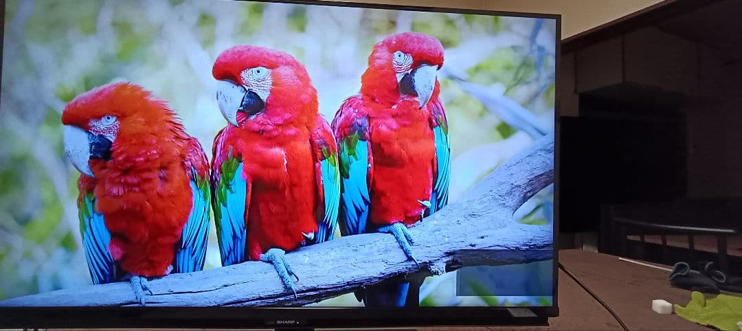 テレビ SHARP AQUOS 4T-C40CL1