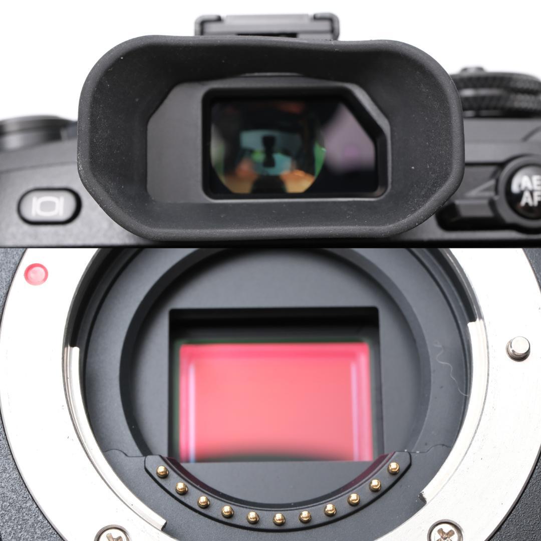 綺麗 OLYMPUS OM-D E-M1 Mark II + HLD-9