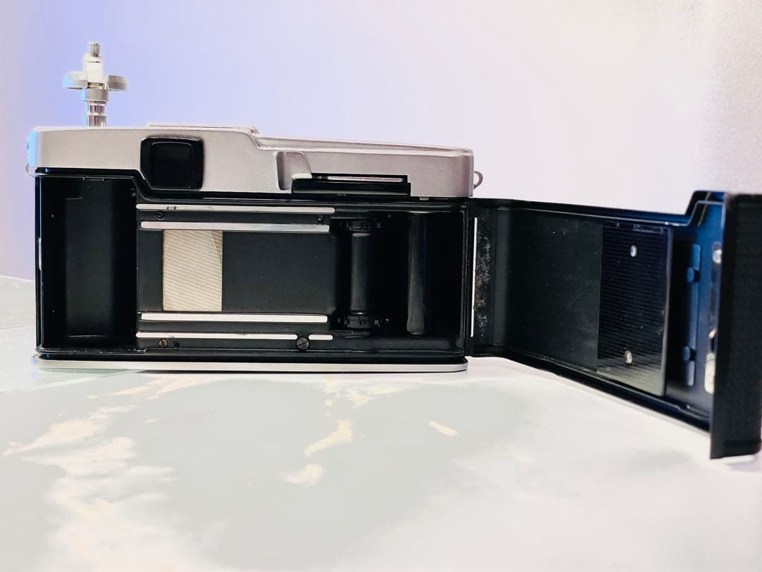 クモちゃん‼️