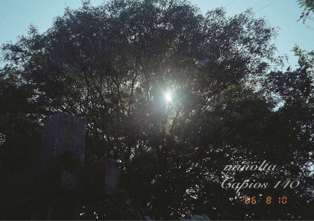 フィルム入門に！minolta capios140★超美品！初期保証付き